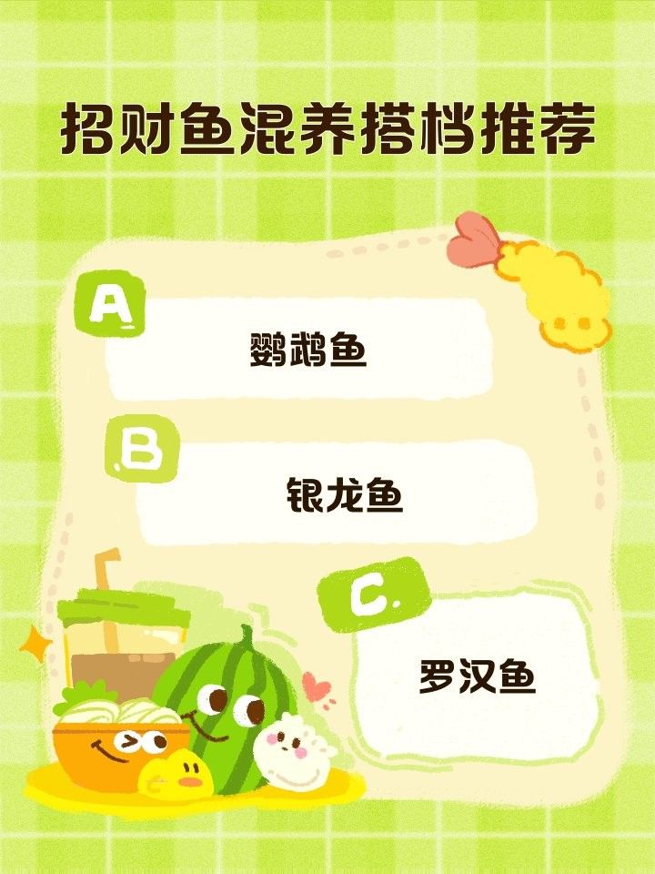 銀龍魚可以和招財魚混養嗎圖片 銀龍魚可以和招財魚混養嗎圖片 龍魚百科 第25張