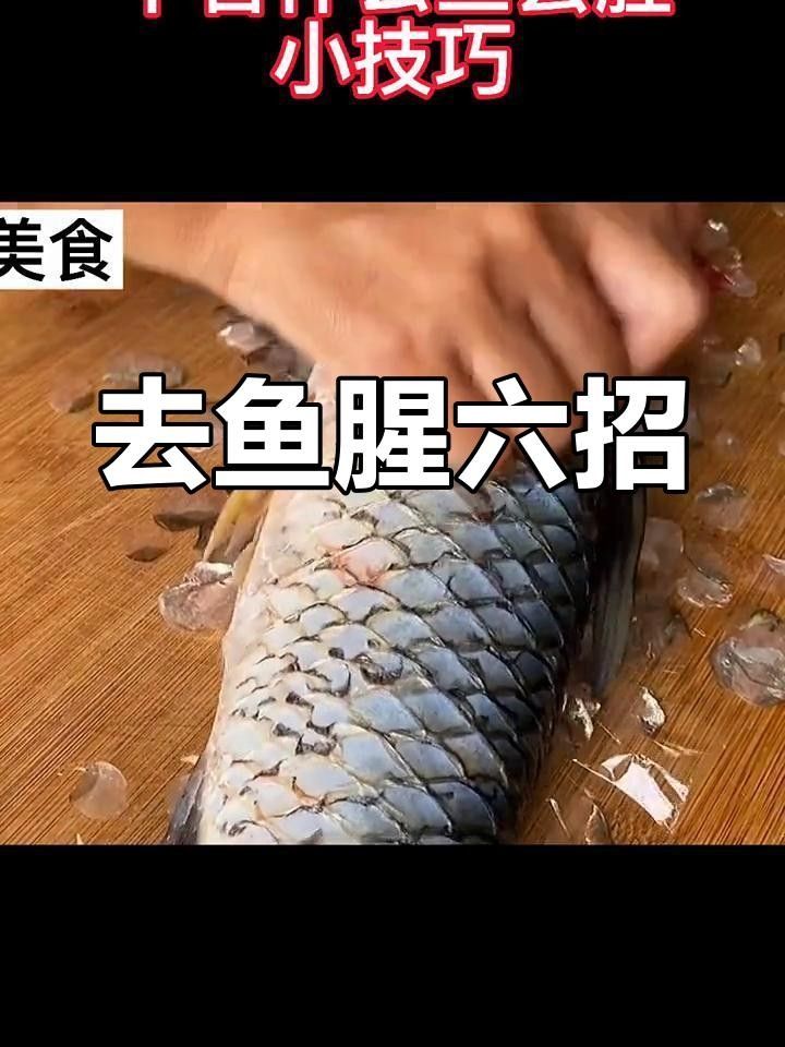 龍魚去腥的詳細步驟 龍魚去腥的詳細步驟 龍魚百科 第3張