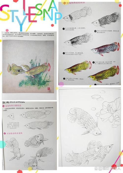 龍魚是什么樣的圖片 簡筆畫視頻