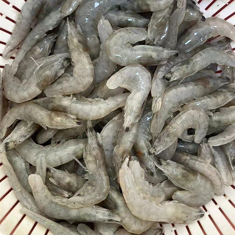 龍魚魚食最簡單做法竅門：自制龍魚魚食的方法