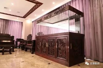 彩蝶魚缸安裝圖解視頻，如何選擇合適的魚缸濾材魚缸設備故障排查方法 彩蝶魚缸安裝圖解視頻，如何選擇合適的魚缸濾材魚缸設備故障排查方法 龍魚百科 第6張