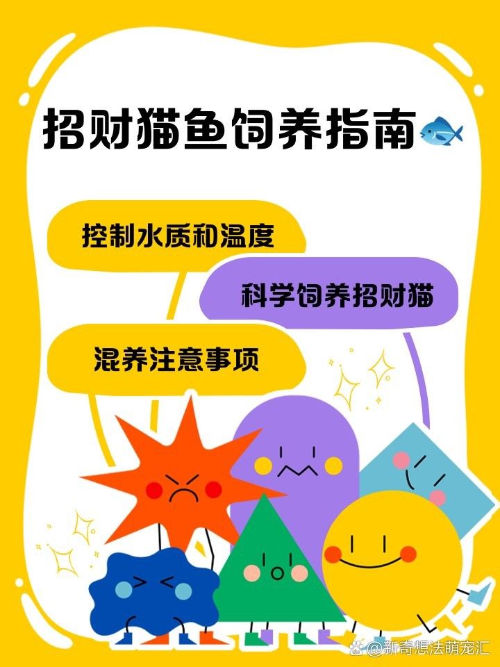 龍魚和招財貓魚水溫多少度合適