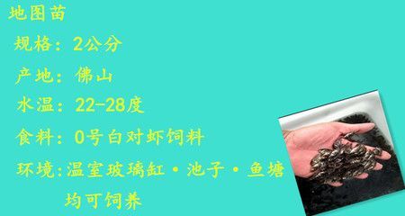 喂養(yǎng)龍魚的方法：喂養(yǎng)龍魚的關(guān)鍵是提供合適的食物并注意水質(zhì)和環(huán)境