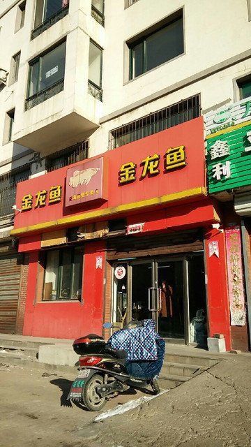 金龍魚交易市場在哪里