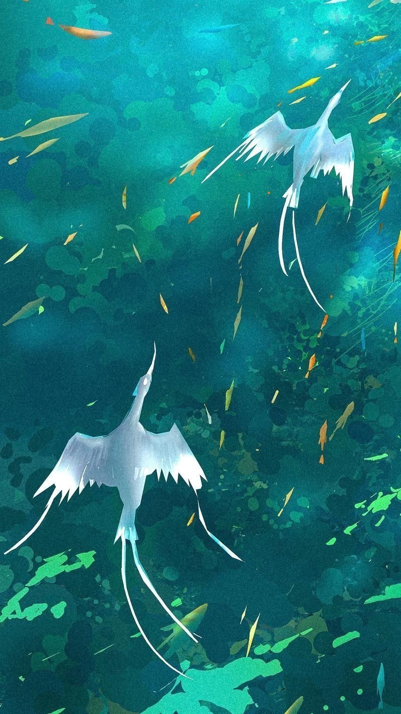 龍魚圖片壁紙卡通畫 龍魚百科 第4張 龍魚圖片壁紙卡通畫 龍魚圖片壁紙卡通畫 龍魚百科 第4張