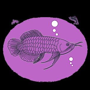 龍魚圖片壁紙卡通畫 龍魚百科 第40張 龍魚圖片壁紙卡通畫 龍魚圖片壁紙卡通畫 龍魚百科 第40張