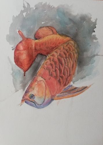 龍魚圖片壁紙卡通畫 龍魚百科 第25張 龍魚圖片壁紙卡通畫 龍魚圖片壁紙卡通畫 龍魚百科 第25張