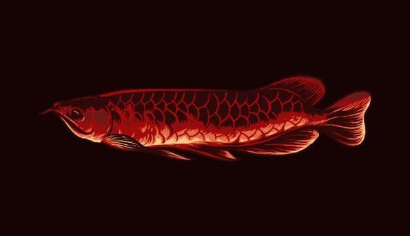 龍魚圖片壁紙卡通畫 龍魚百科 第36張 龍魚圖片壁紙卡通畫 龍魚圖片壁紙卡通畫 龍魚百科 第36張