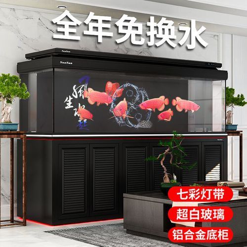 森森龍魚缸
