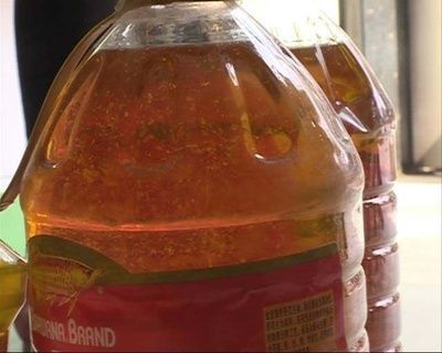 龍魚身上有白色絮狀物用什么藥最好：龍魚白絮狀物如何預防