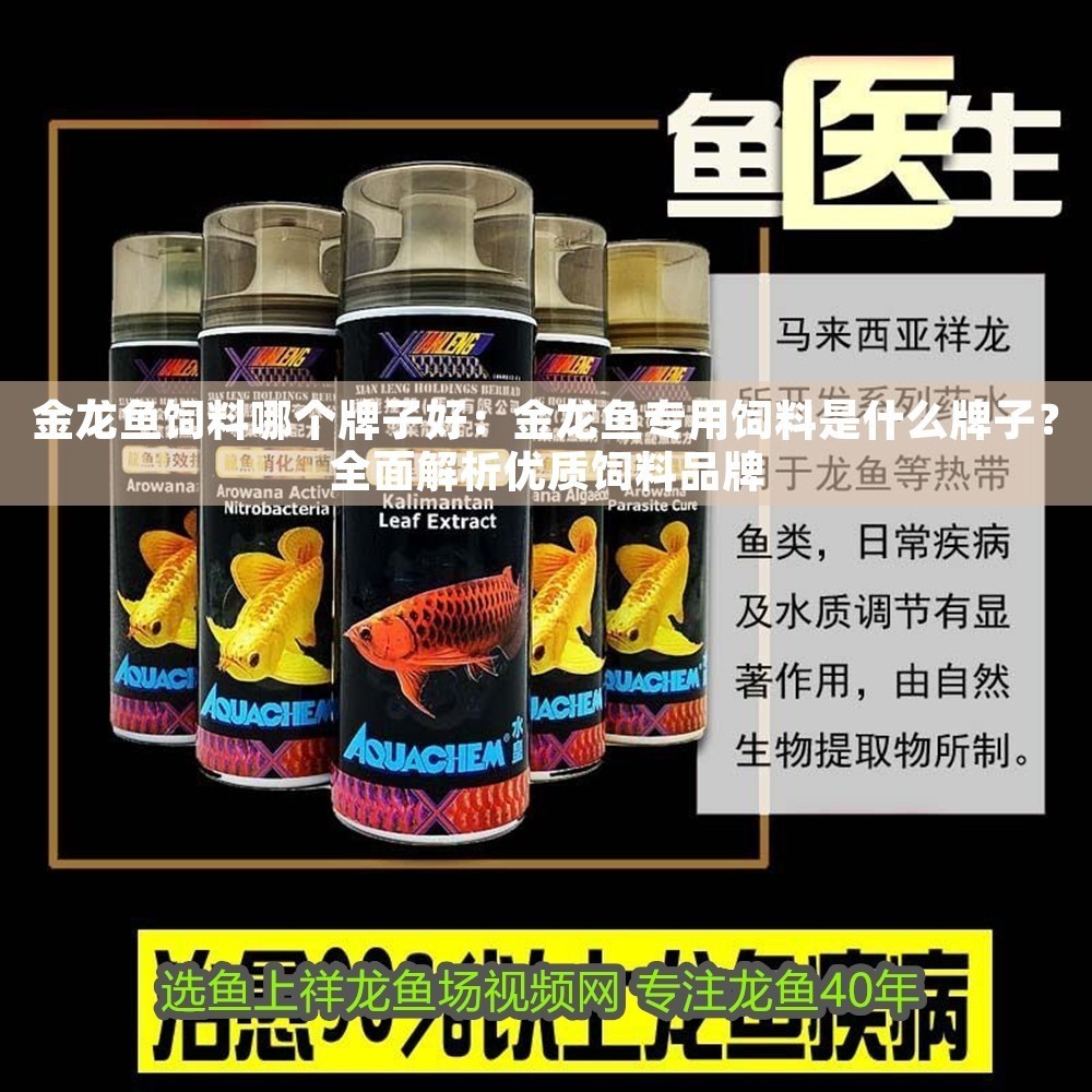 金龍魚飼料哪個牌子好：金龍魚專用飼料是什么牌子？全面解析優(yōu)質(zhì)飼料品牌