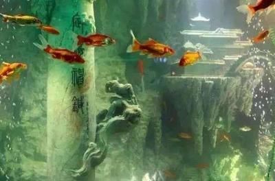 東海龍宮魚缸怎么樣好不好用呀：東海龍宮魚缸的特點、制作過程以及用戶評價