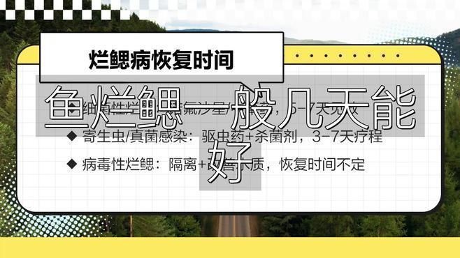 魚鰓爛洞需要多久才能恢復？