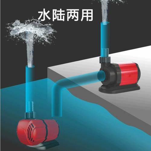 如何選擇適合紅龍的過(guò)濾系統(tǒng)？