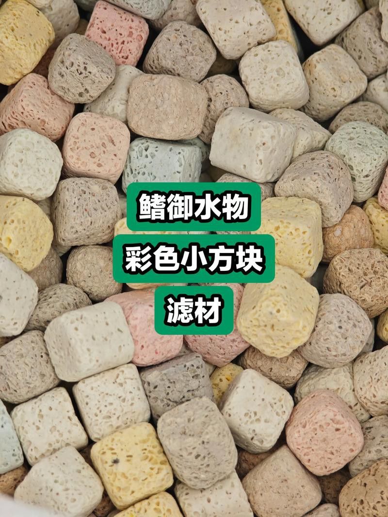如何選擇適合紅龍的過(guò)濾系統(tǒng)？