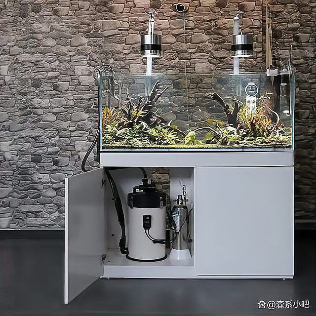 如何選擇適合紅龍的過(guò)濾系統(tǒng)？