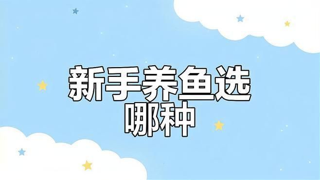 孔雀魚和斑馬魚哪個更好養(yǎng)