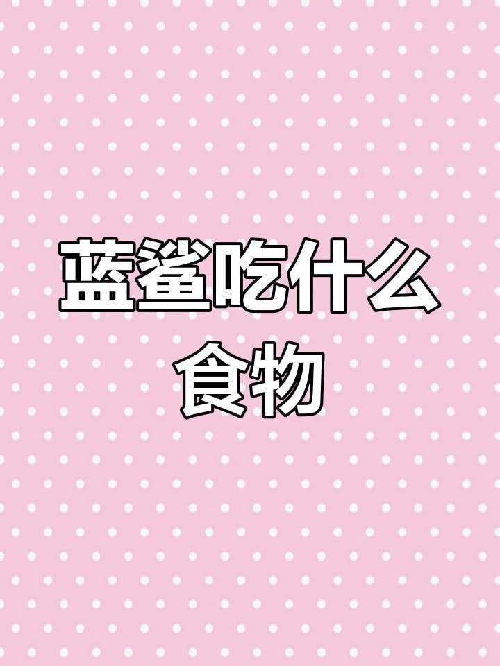 藍鯊最愛吃三種東西