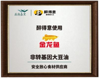 金龍魚能吃嗎有毒嗎：金龍魚可以吃嗎 金龍魚能吃嗎有毒嗎：金龍魚可以吃嗎 龍魚百科 第1張