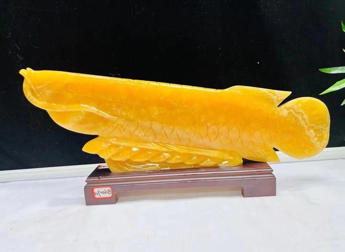 玉石金龍魚擺放位置圖