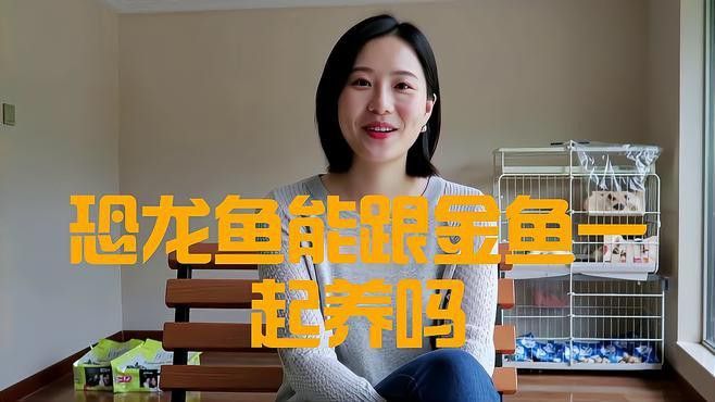 金魚和恐龍魚混養好嗎