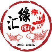錦鯉等級劃分