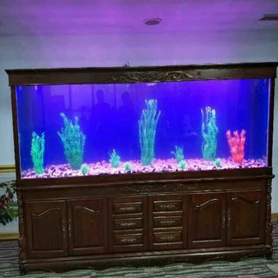 紅龍魚對魚缸的要求高嗎為什么：紅龍魚對魚缸的要求高嗎