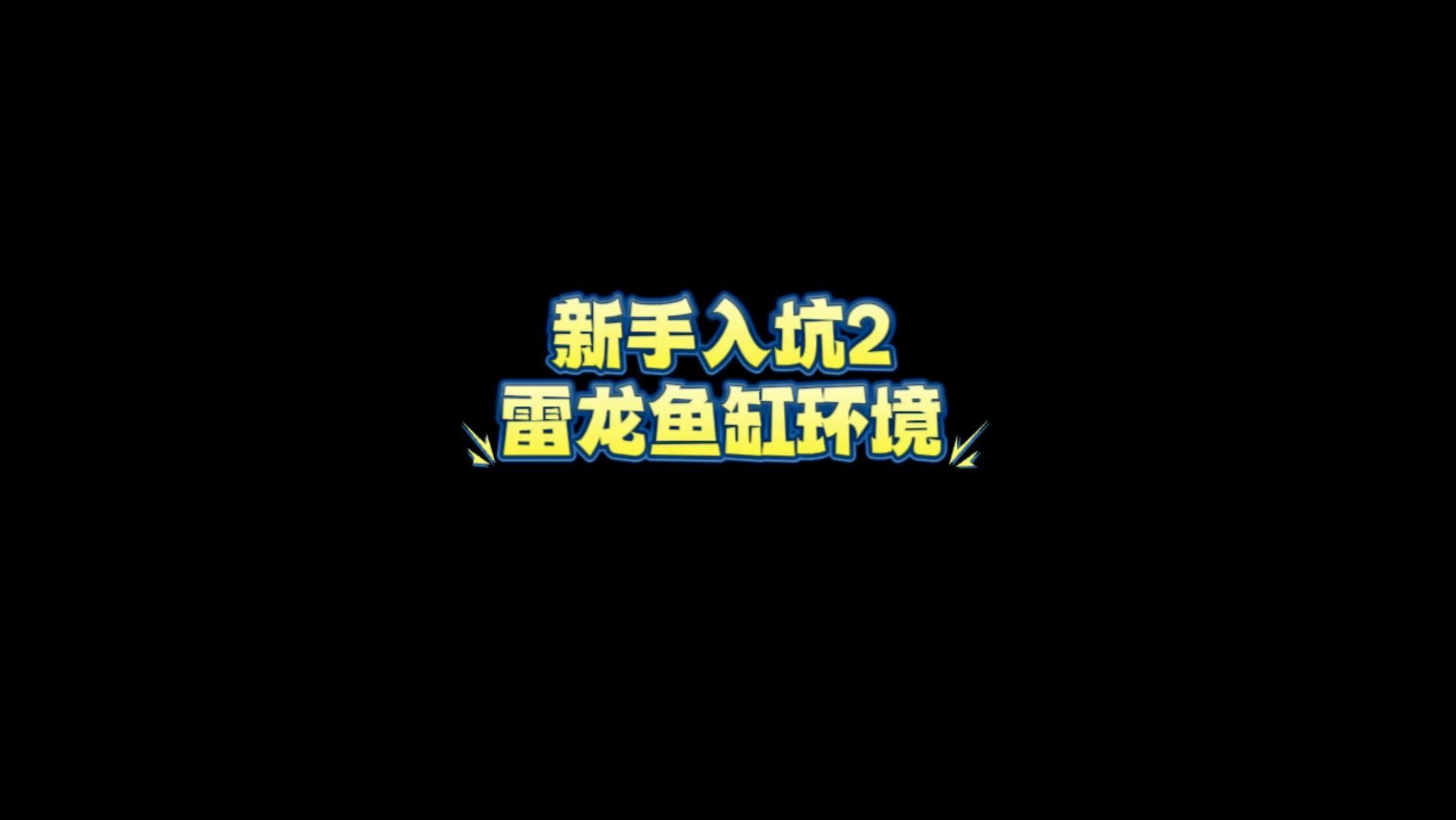 龍魚缸造景需要哪些工具？