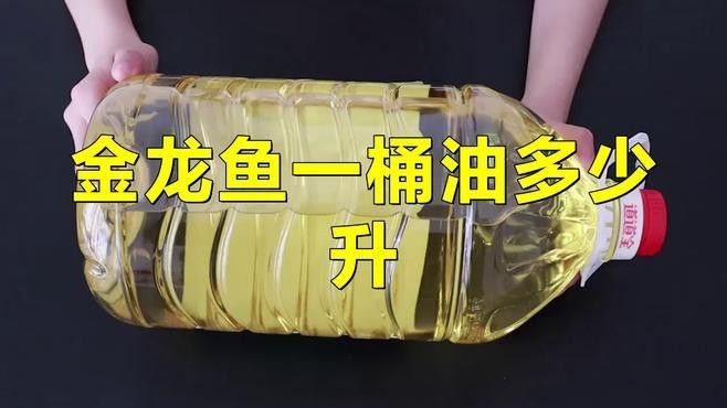金龍魚特級初榨橄欖油有哪些規格？