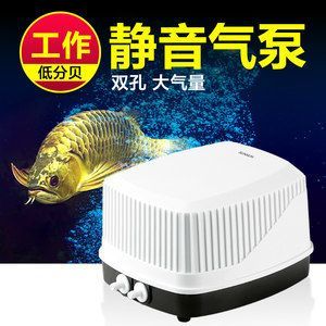龍魚缸推薦增氧泵品牌：森森sunsun增氧泵價格對比創寧增氧泵售后服務政策 龍魚缸推薦增氧泵品牌：森森sunsun增氧泵價格對比創寧增氧泵售后服務政策 龍魚百科 第4張