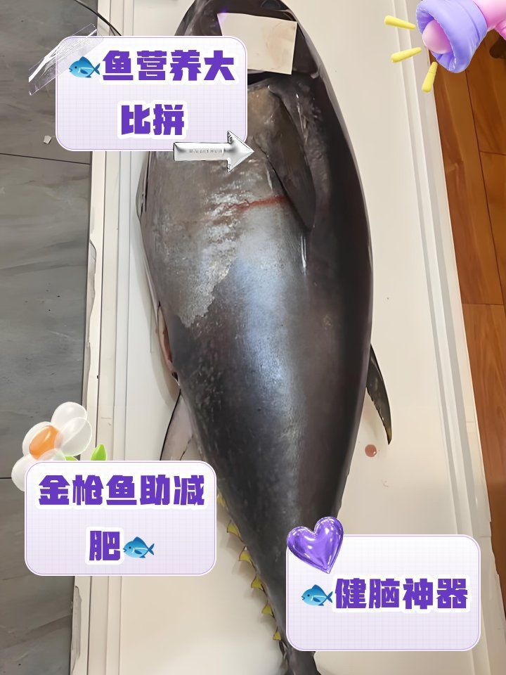 金槍魚好還是三文魚好 金槍魚好還是三文魚好 龍魚百科 第3張