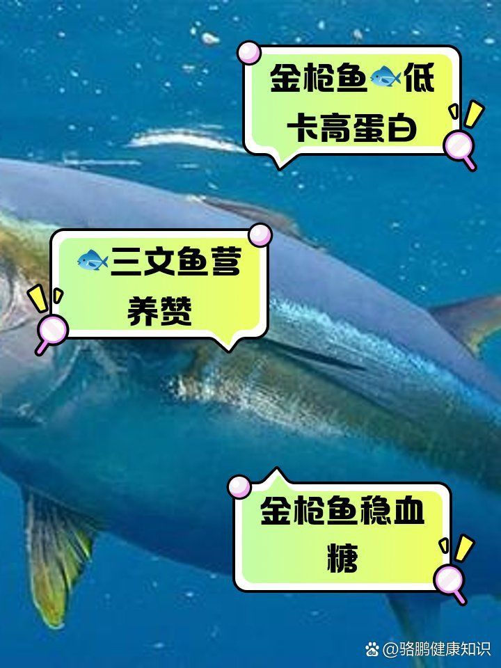 金槍魚好還是三文魚好 金槍魚好還是三文魚好 龍魚百科 第6張