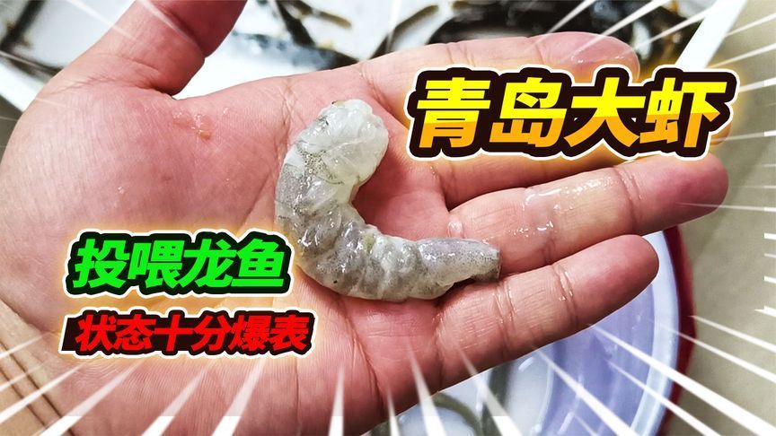 喂龍魚的冰凍泥鰍應該怎么處理好：喂食龍魚的冰凍泥鰍應該怎么處理好龍魚的冰凍泥鰍