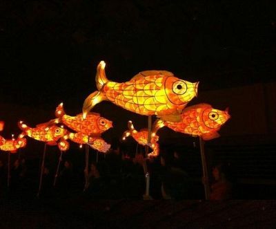一米長50寬50高的魚缸多少升水（魚缸換水頻率是多少）