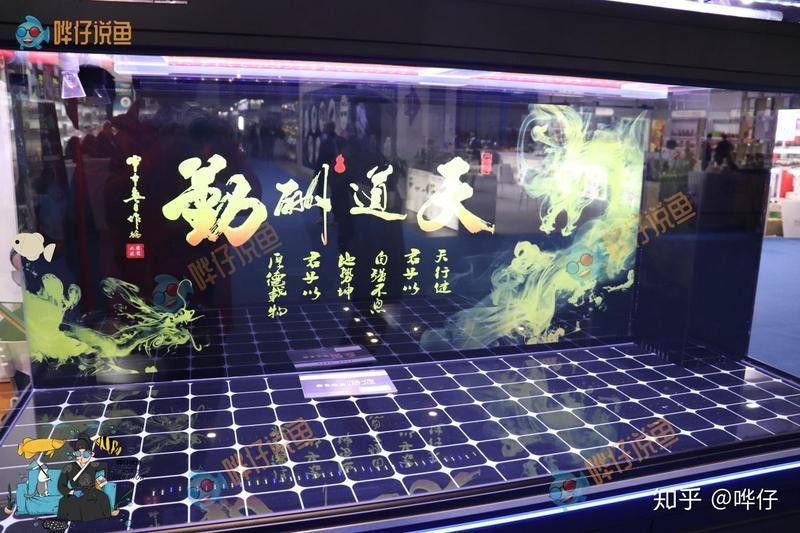 超美龍魚壁紙哪個品牌最好？