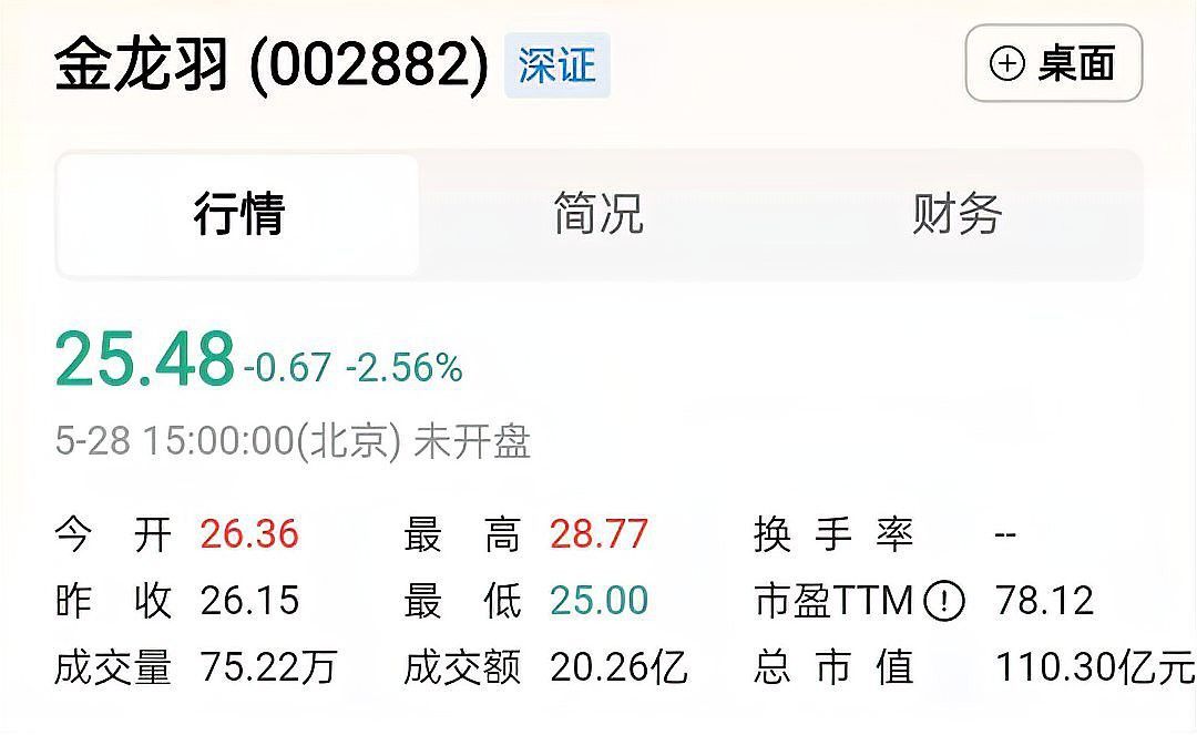 金龍羽在新能源領域有哪些進展？