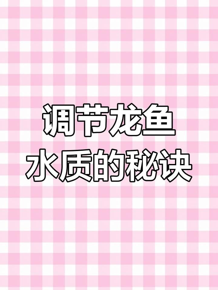 如何調(diào)整水質(zhì)以幫助紅龍魚適應？