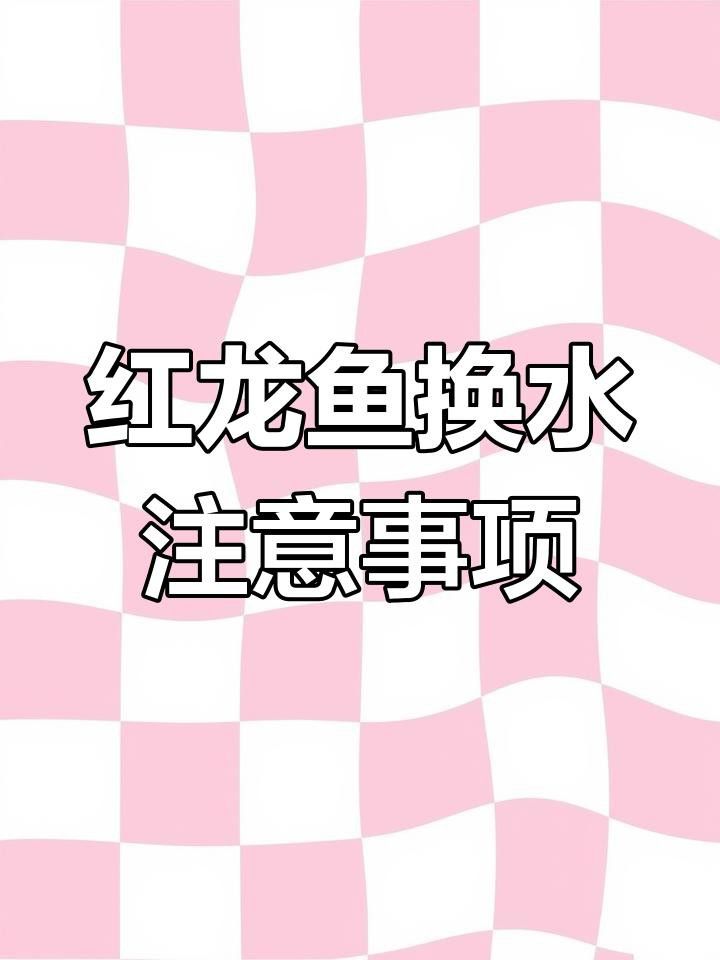 如何調(diào)整水質(zhì)以幫助紅龍魚適應？