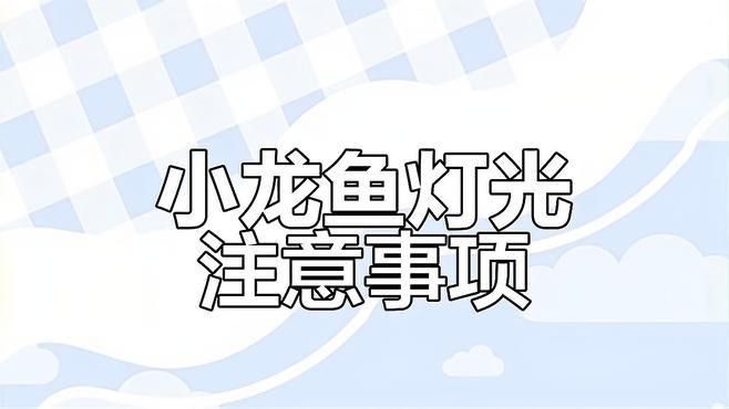 拍攝龍魚時如何避免反光？ 拍攝龍魚時如何避免反光？ 龍魚百科 第2張