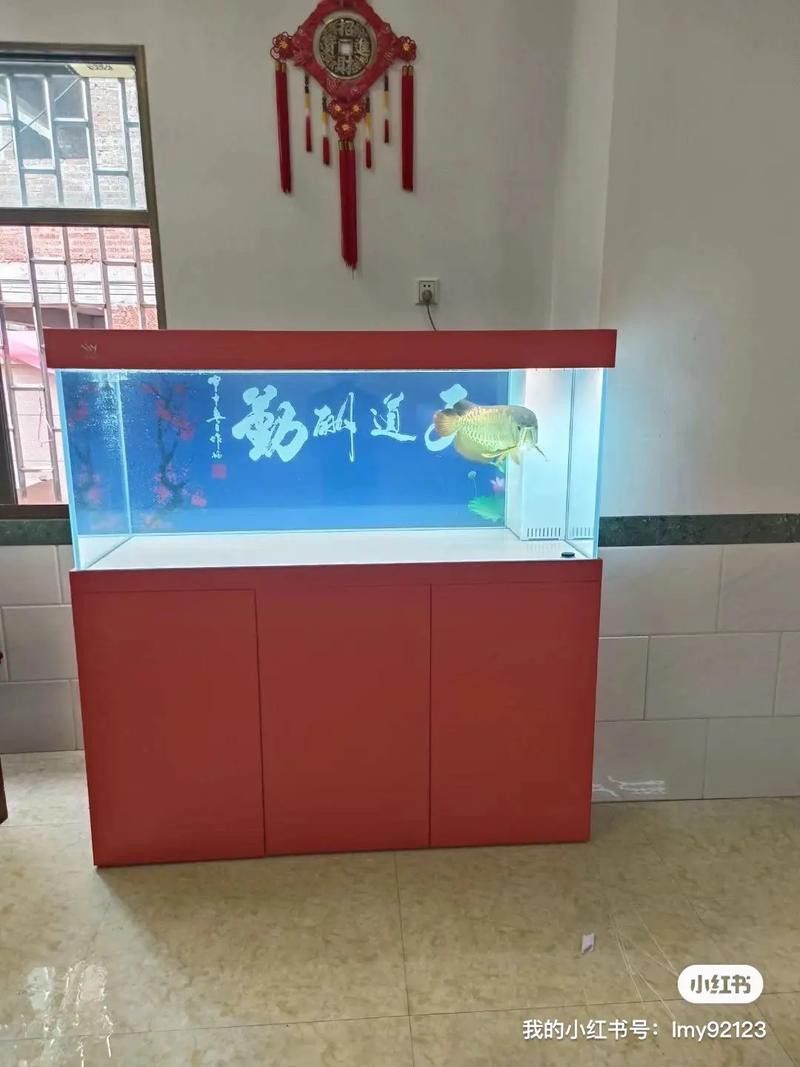 歐博龍魚(yú)缸 歐博龍魚(yú)缸 龍魚(yú)百科 第2張