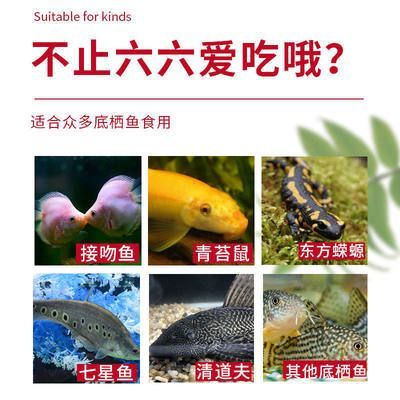 六角恐龍魚飼料怎么喂視頻大全:六角恐龍魚飼料喂食文字版教程 龍魚百科 第5張 六角恐龍魚飼料怎么喂視頻大全:六角恐龍魚飼料喂食文字版教程 六角恐龍魚飼料怎么喂視頻大全:六角恐龍魚飼料喂食文字版教程 龍魚百科 第5張
