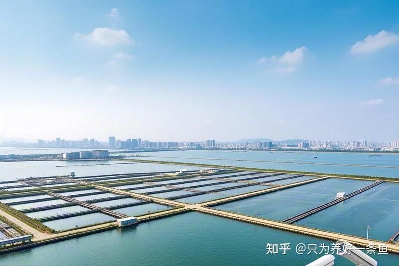 帝龍漁業未來有何發展規劃？