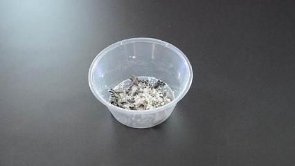 龍魚缸放小蘇打（小蘇打在魚缸中的作用及其使用方法） 龍魚缸放小蘇打（小蘇打在魚缸中的作用及其使用方法） 龍魚百科 第5張