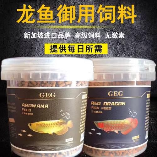 金龍魚怎么上色最快圖片