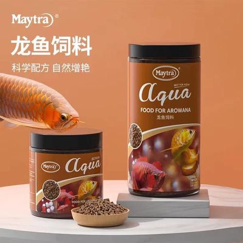金龍魚怎么上色最快圖片
