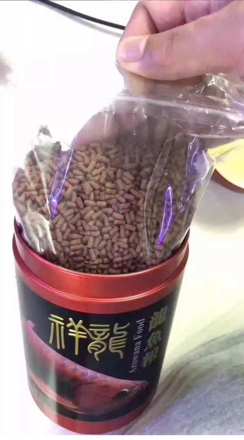 金龍魚怎么上色最快圖片