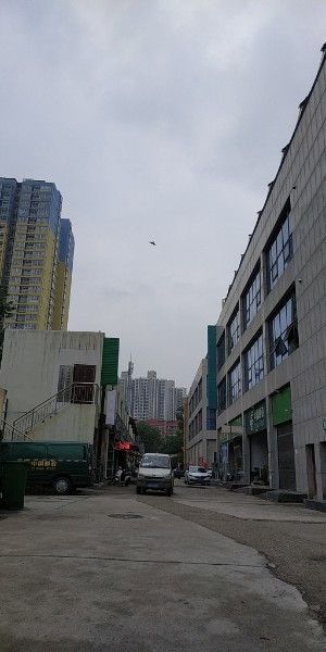 西安龍魚批發在哪里進貨便宜 西安龍魚批發在哪里進貨便宜 龍魚百科 第2張