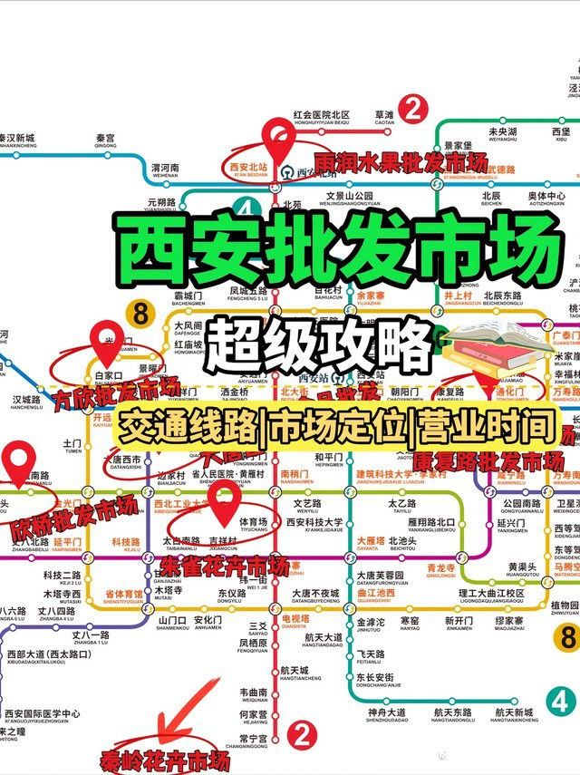 西安龍魚批發在哪里進貨便宜 西安龍魚批發在哪里進貨便宜 龍魚百科 第9張