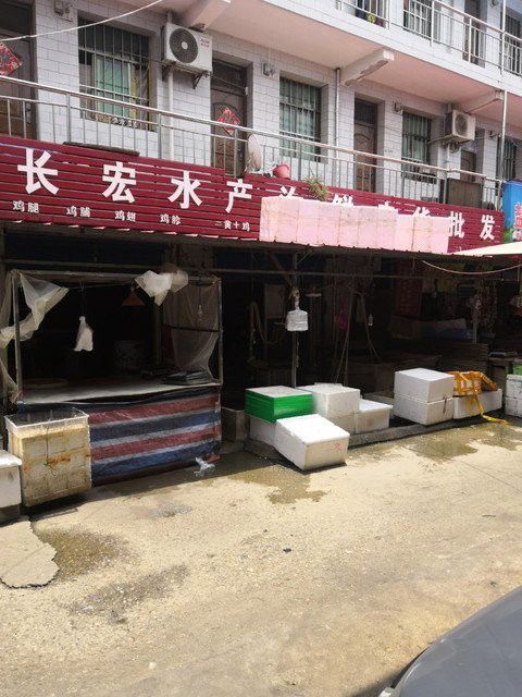 西安龍魚批發在哪里進貨便宜 西安龍魚批發在哪里進貨便宜 龍魚百科 第10張