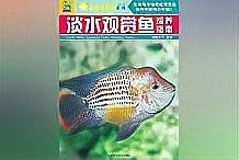 推薦一些金龍魚養(yǎng)殖書籍 推薦一些金龍魚養(yǎng)殖書籍 龍魚百科 第7張